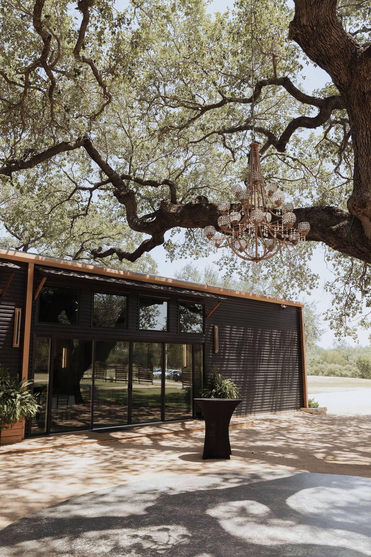 Hudson and Damiana photograph 8, by Adam Grumbo