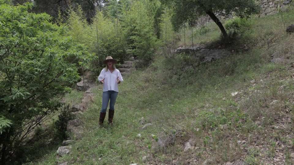 Yaupon Valley film still by Adam Grumbo