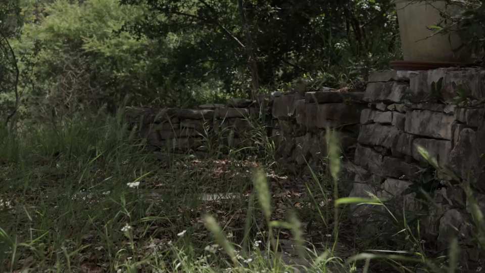 Yaupon Valley film still by Adam Grumbo