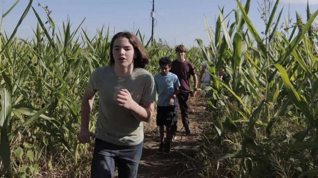 Barton Hill Farms film still by Adam Grumbo