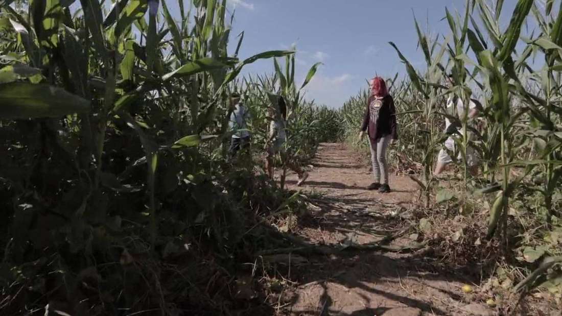 Barton Hill Farms film still by Adam Grumbo