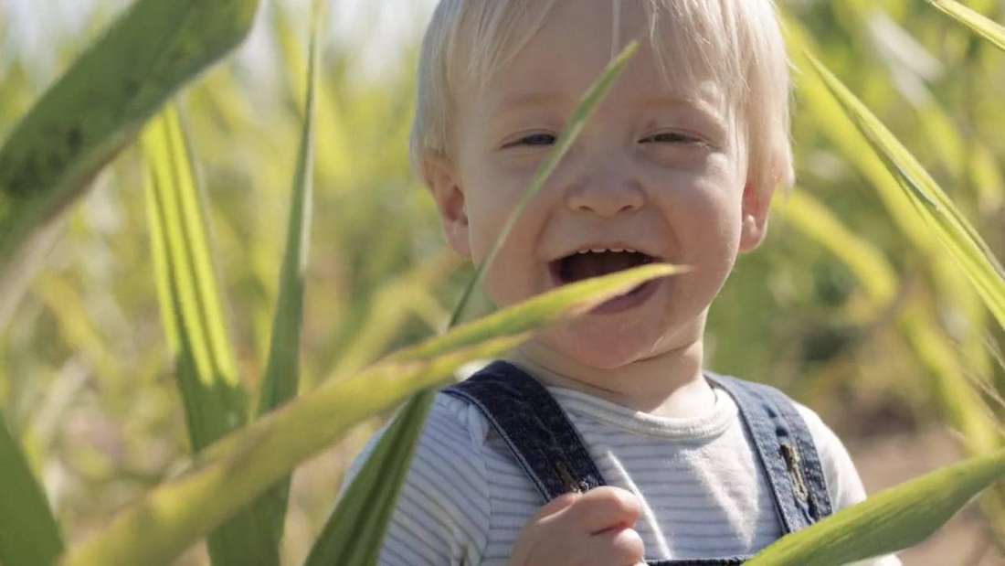 Barton Hill Farms film still by Adam Grumbo