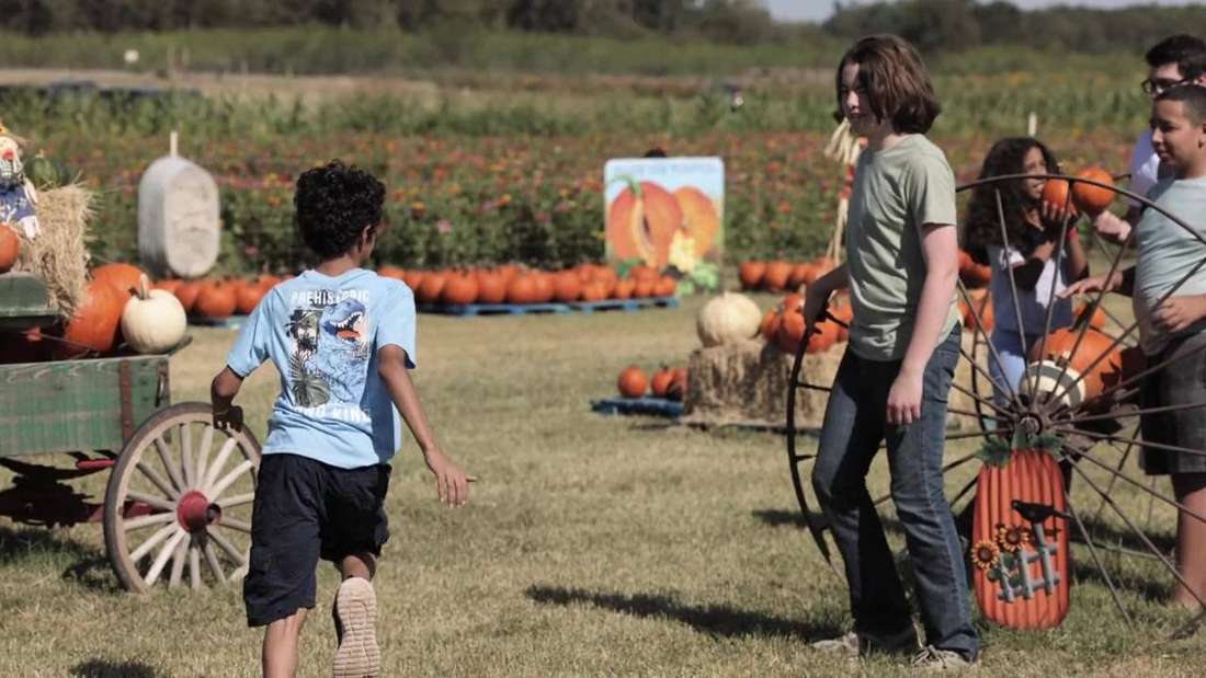Barton Hill Farms film still by Adam Grumbo