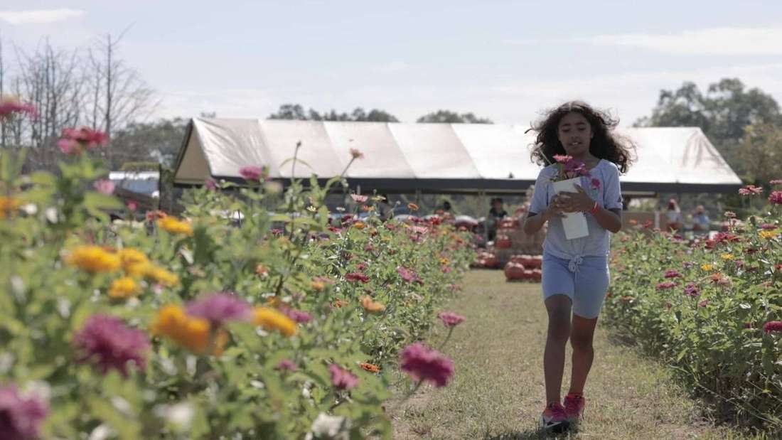 Barton Hill Farms film still by Adam Grumbo