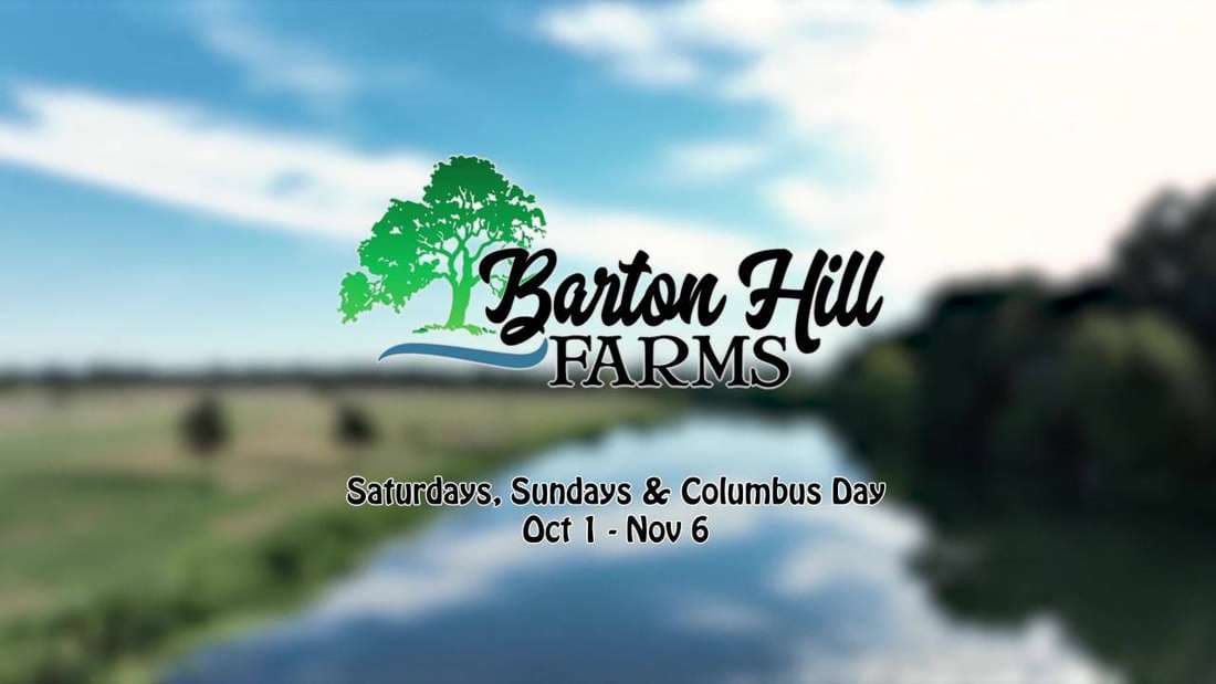 Barton Hill Farms film still by Adam Grumbo