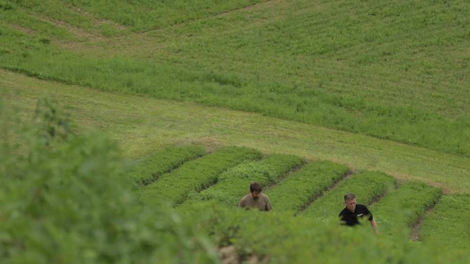 Doner Facebook film still by Adam Grumbo