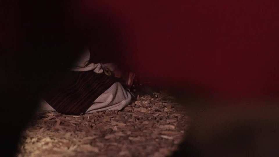 Follow The Star 2021 film still by Adam Grumbo