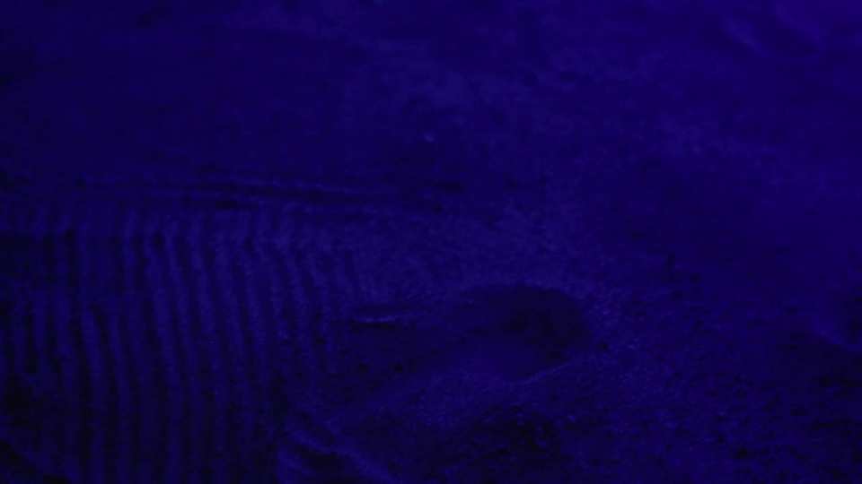 Follow The Star 2025 Color film still by Adam Grumbo