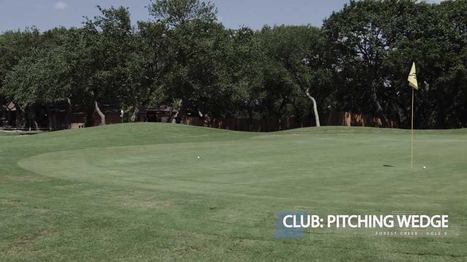 Forest Creek 2021 film still by Adam Grumbo