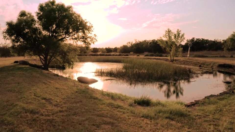 King River Ranch film still by Adam Grumbo