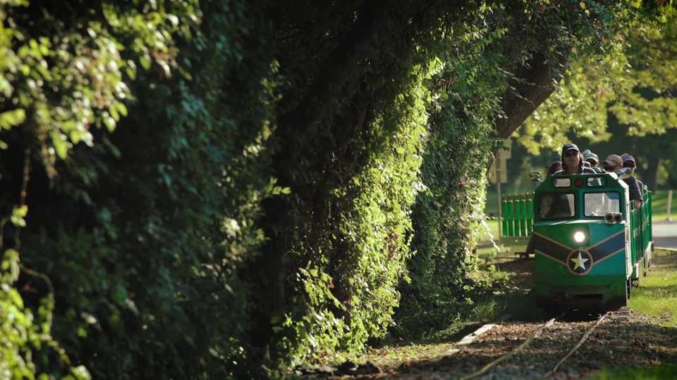 La Vie En Rose film still by Adam Grumbo