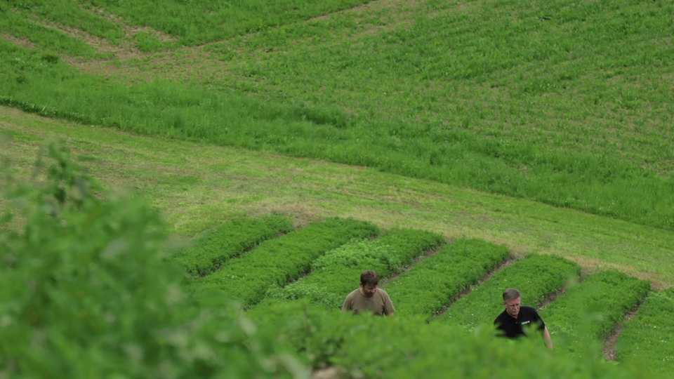Pre-Roll, Dr. Dünner film still by Adam Grumbo