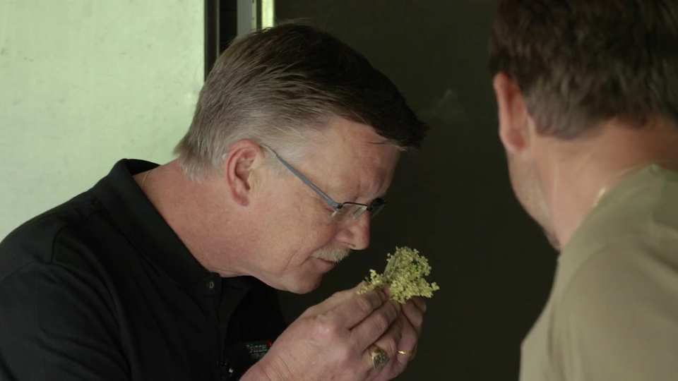 Pre-Roll, Dr. Dünner film still by Adam Grumbo