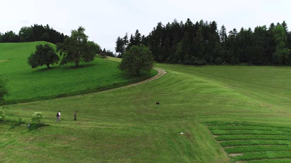 Pre-Roll, Dr. Dünner film still by Adam Grumbo