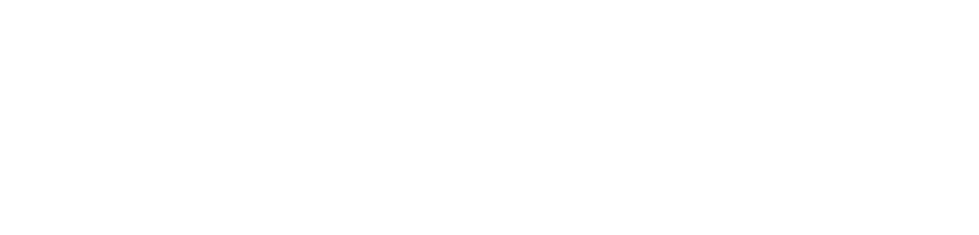 Insyght
